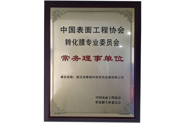 中国表面工程协会转化膜专业委员会副理事长单位